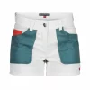 5Incher Field Shorts Stormy Blue